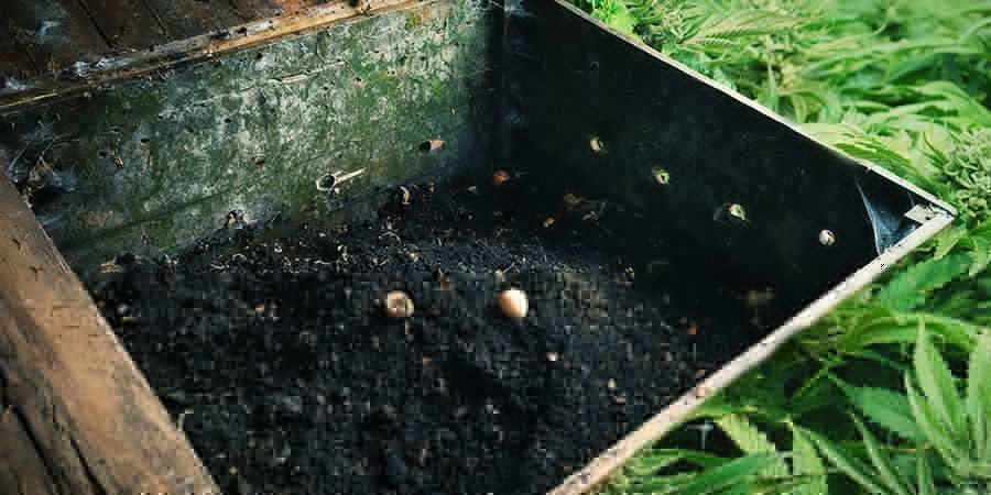 Señales Que Indican Que Tu Compost Está Listo