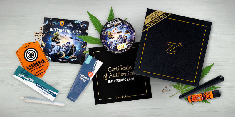 Intergelatic Kush - Kannabia X Zamnesia Intergelatic Kush - Kannabia x Zamnesia