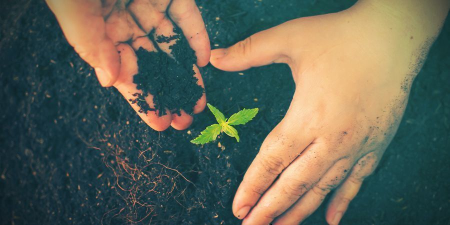 Monta El Lecho De Cultivo Con Zona Doble De Raíz