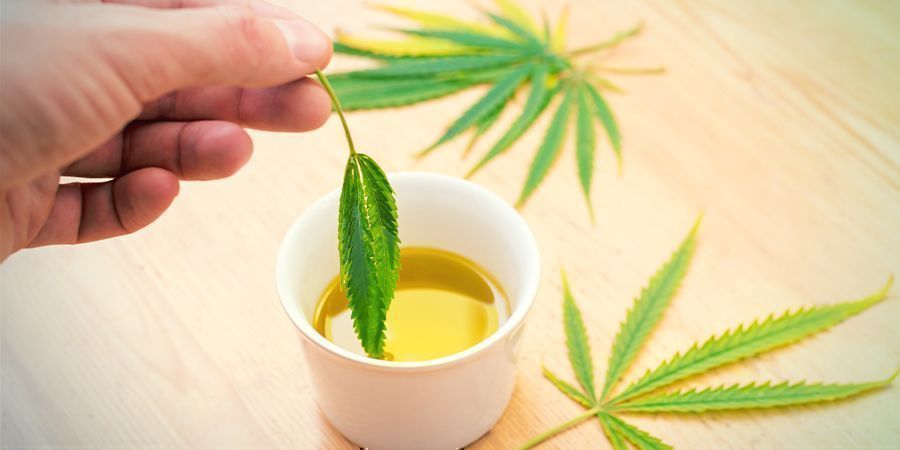 Comestibles Concentrados De Cannabis: Mezcla El Concentrado Con La Grasa Que Prefieras