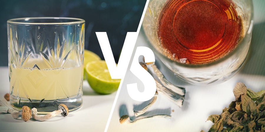 Lemon Tek Vs Té De Setas