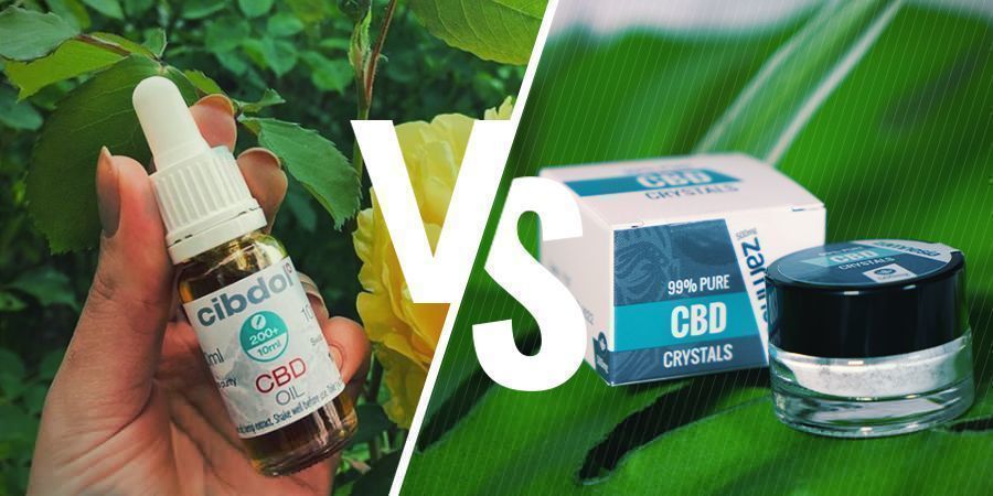 CBD De Espectro Completo Vs CBD Aislado