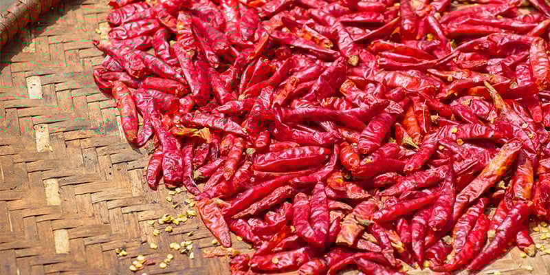 Qu&eacute; hacer despu&eacute;s de la cosecha