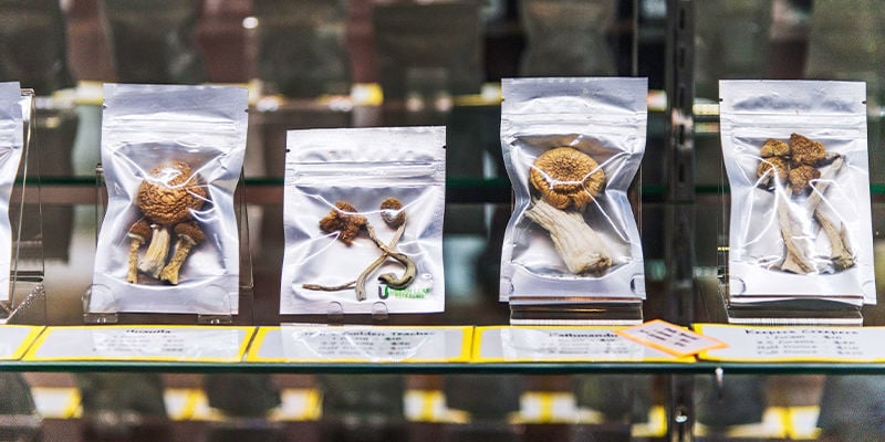 Coste y disponibilidad de las setas de psilocibina frescas y secas