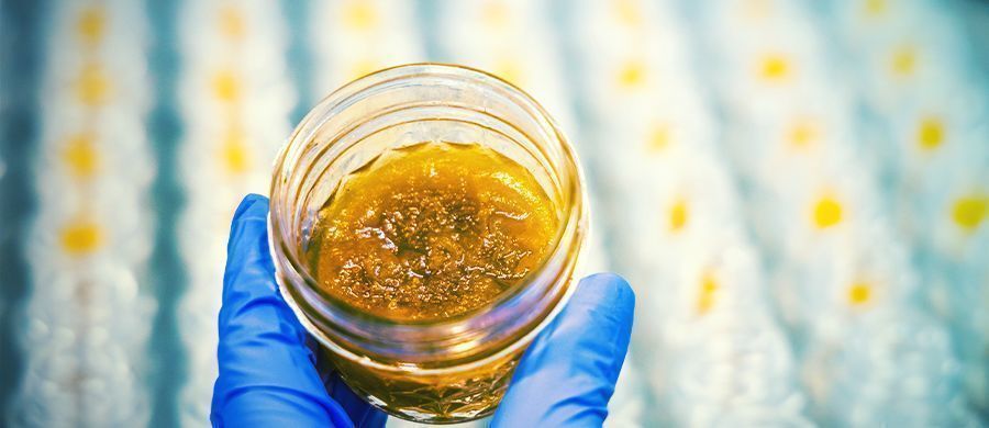 r/dabs: Debates Sobre Dabs y Extractos De Marihuana