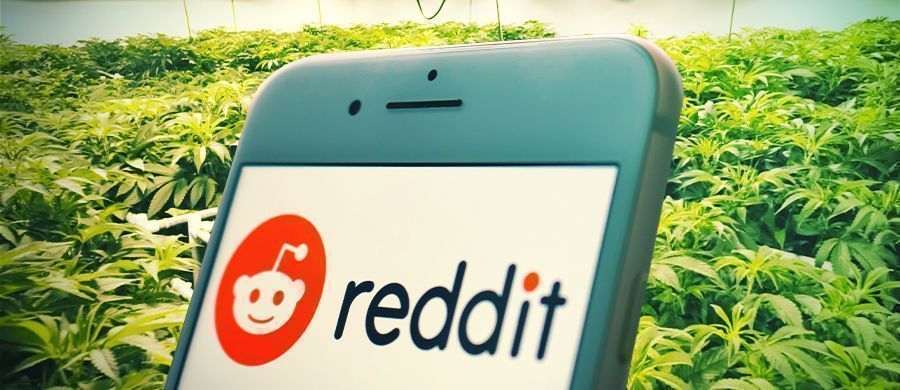 Cómo Y Por Qué Los Fumetas Pueden Usar Reddit Como Recurso Para Informarse Sobre Marihuana