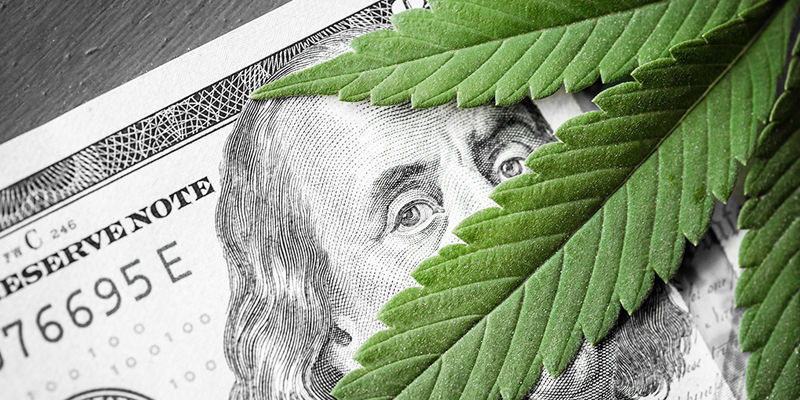 ¿Merece La Pena Trabajar En El Sector Del Cannabis?