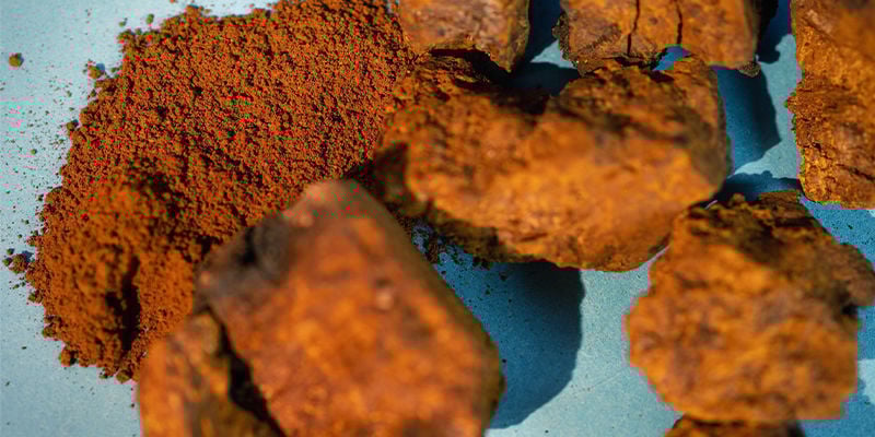 Seta Chaga Entera: Fresca O Seca