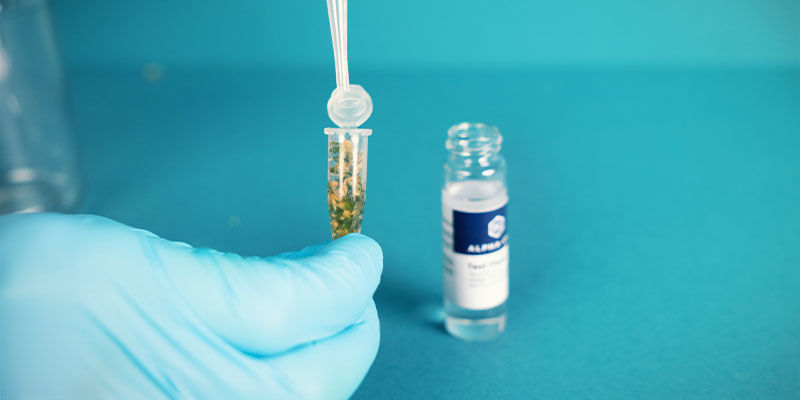 Mini Kit Alpha-Cat De Análisis De Cannabinoides: Extrae los cannabinoides en el líquido