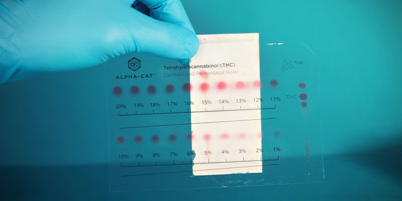 ¿Qué Cannabinoides Detecta El Mini Kit Alpha-Cat?