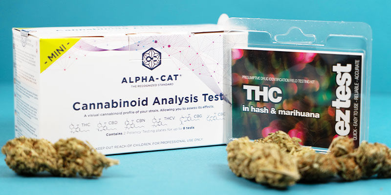 Cómo Analizar El Nivel De Thc Y Cbd En Los Productos De Cannabis