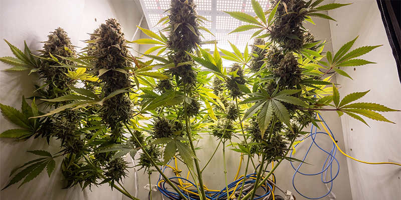 AK-47 AK-47