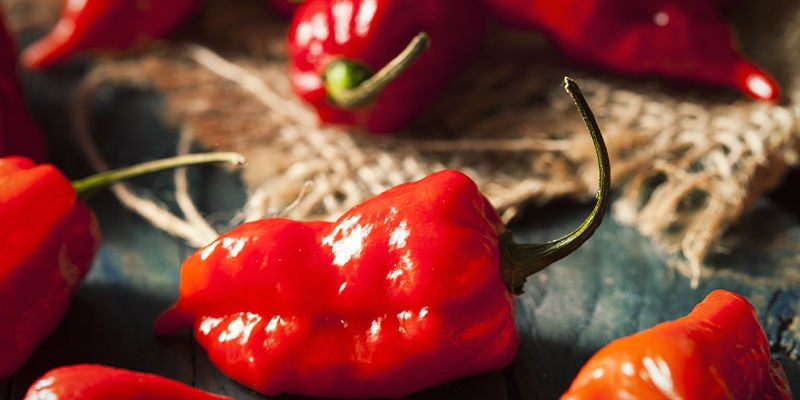 Empieza A Cultivar Pimientos Fantasma Hoy Mismo