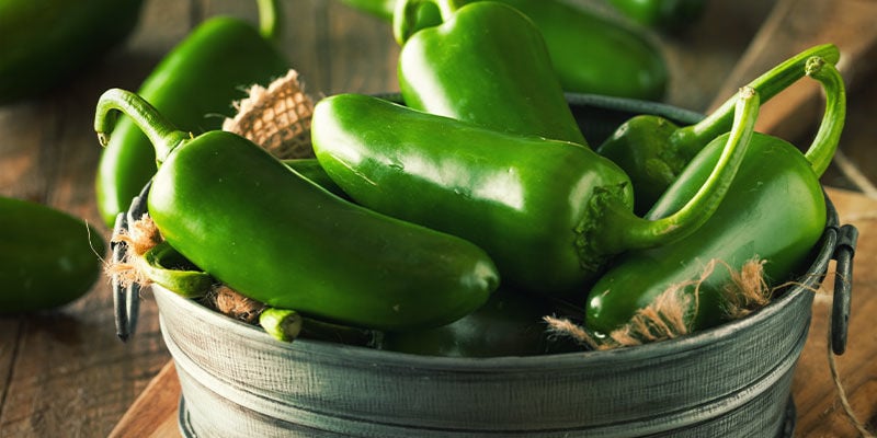 Empieza A Cultivar Pimientos Picantes Hoy Mismo: Más Cerca Del Paraíso De Los Jalapeños