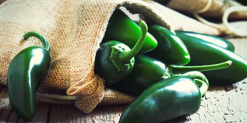 Cultivo De Jalapeños: Instrucciones