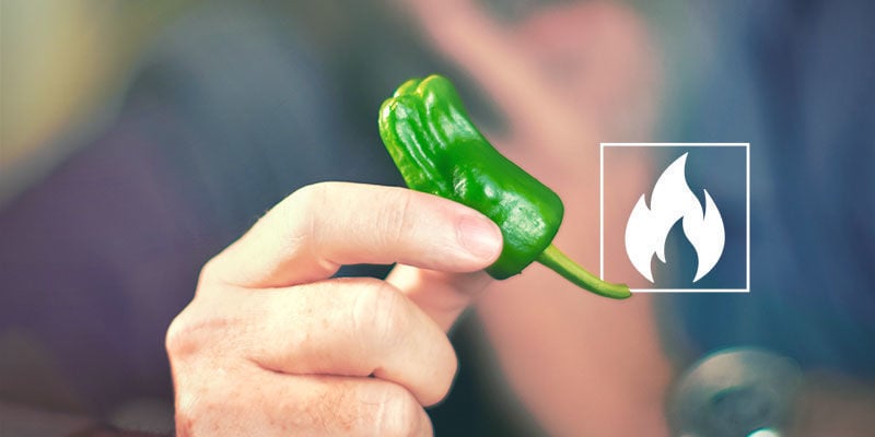 ¿Cuánto Pican Los Jalapeños?