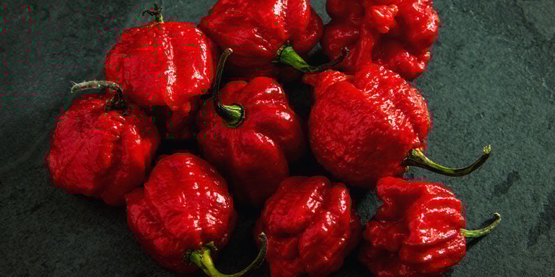Pimientos Más Picantes: 7 Pot Primo