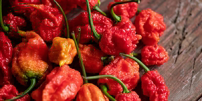 7 Pot Barrackpore: 1,3 M SHU 7 Pot Barrackpore: 1,3 M SHU