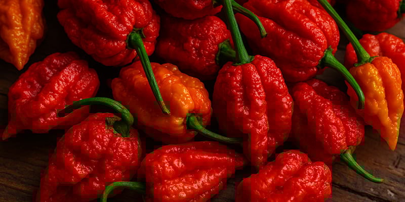 7 Pot Jonah: 1,2 M SHU 7 Pot Jonah: 1,2 M SHU