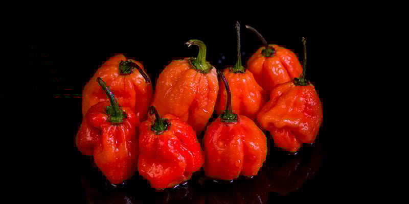 Naga Viper: 1,38 M SHU Naga Viper: 1,38 M SHU