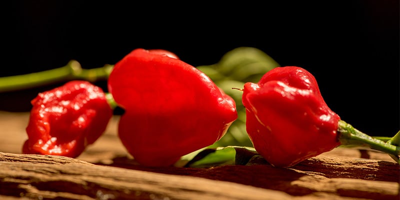 Red Savina Habanero: 577 K SHU Red Savina Habanero: 577 K SHU