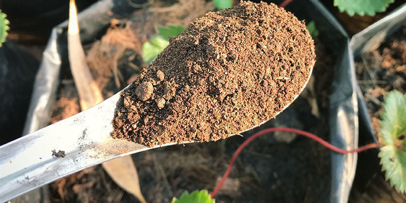 Mezcla De “Súper Tierra” Con Guano