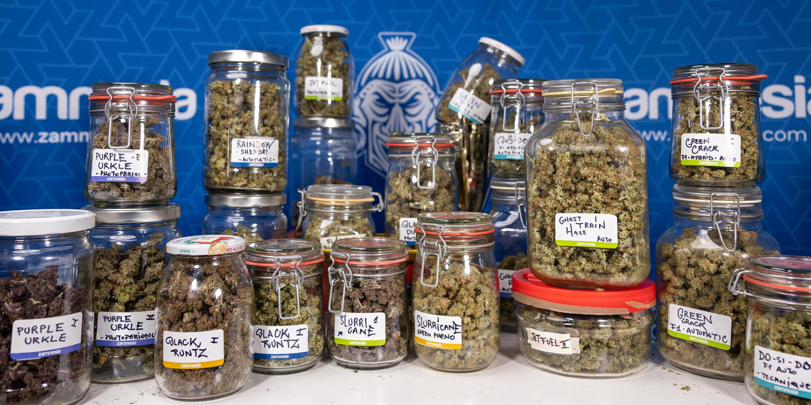 Reflexi&oacute;n final: por qu&eacute; estas variedades hacen que nuestra comunidad repita