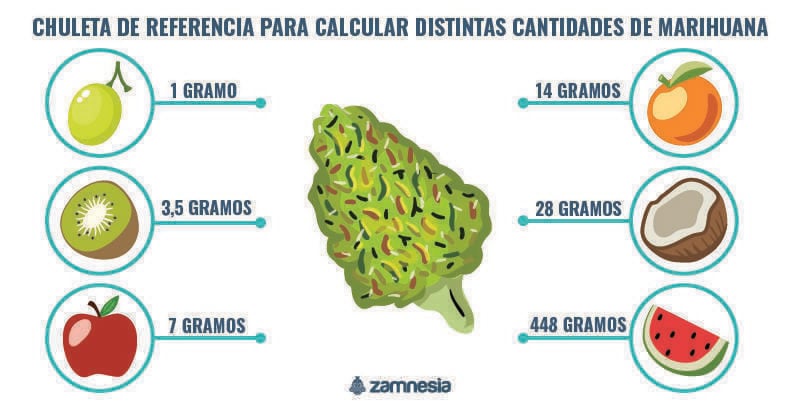 Chuleta De Referencia Para Calcular Distintas Cantidades De Marihuana