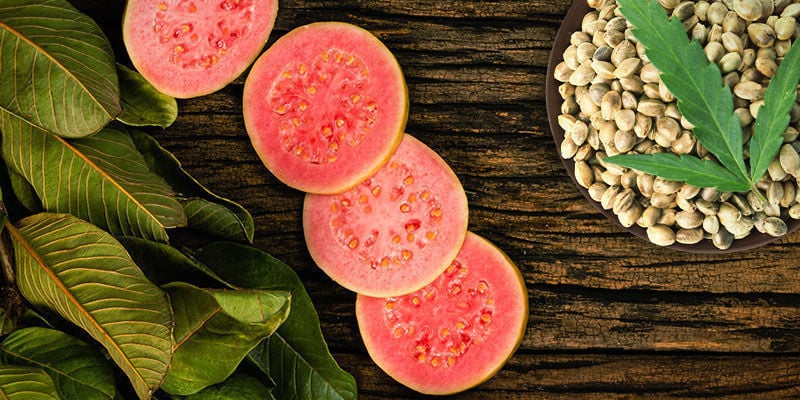 Frosted Guava: Sabor Y Efectos