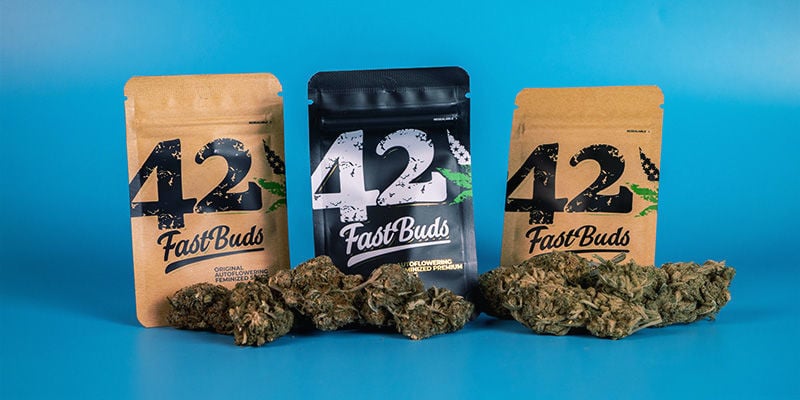 Colaboraciones internacionales de FastBuds