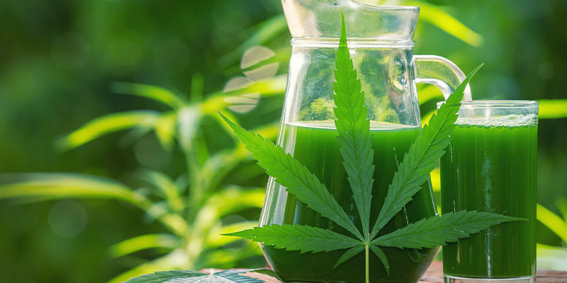 ¿Qué Es El Jugo De Marihuana Cruda?