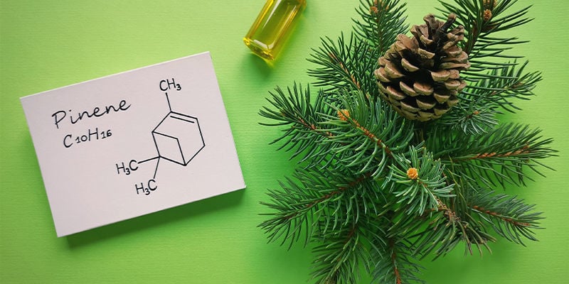 ¿Cuál Es La Estructura Química Del Pineno?