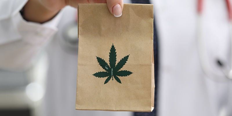 Cómo secar marihuana con bolsas de papel