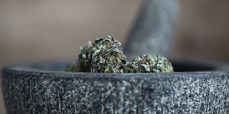 ¿Se Puede Esnifar El Cannabis?