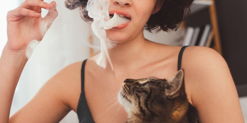 ¿Se pueden colocar los animales con el humo del cannabis que hay en el ambiente?