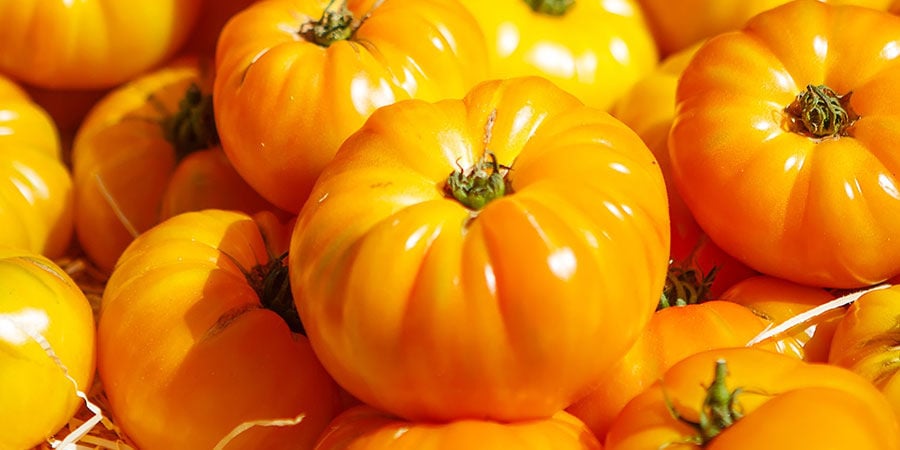 Tomate Beefsteak Blanco Grande (Great White Beefsteak)