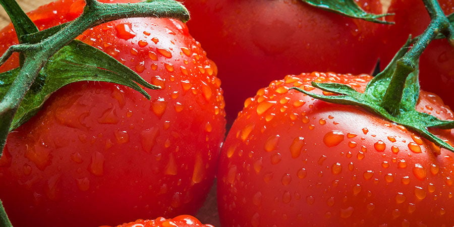 ¿Por qué deberías plantar tomates?