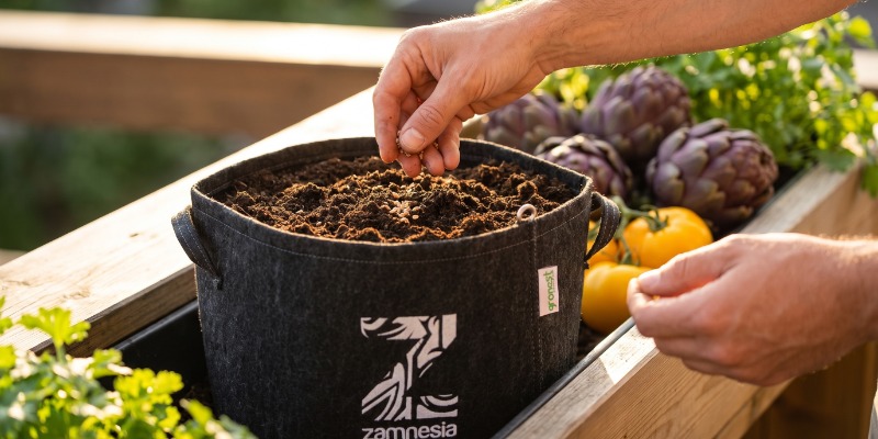 Verduras raras: ponte a sembrar Verduras raras: ponte a sembrar