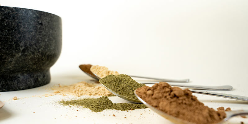 Kratom: ¿Vale La Pena Probarlo?