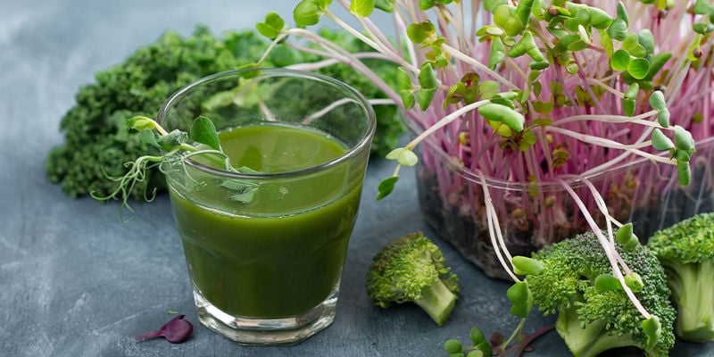 Brotes Y Microgreens Populares Para Probar