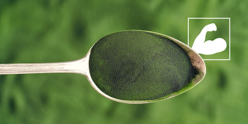 ¿Cuáles Son Los Beneficios De La Chlorella Para La Salud?