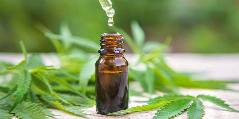 ¿Qué Es El CBD?