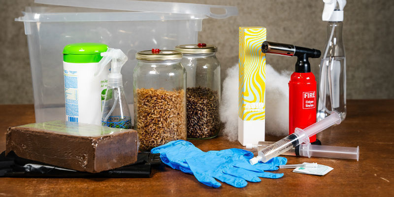 Cómo cultivar setas alucinógenas en un monotub