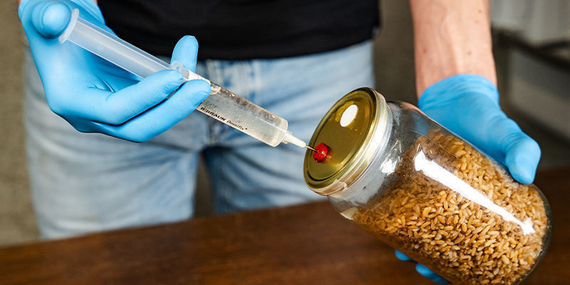 Cómo preparar un sustrato para el monotub