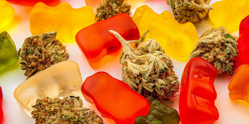 ¿Cuáles Son Los Mejores Productos De Marihuana Para La Microdosificación?