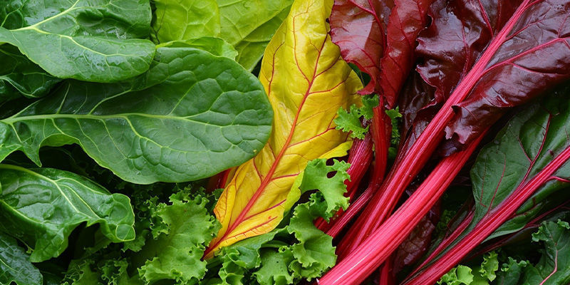 Las 5 mejores verduras de hoja verde para cultivar en casa