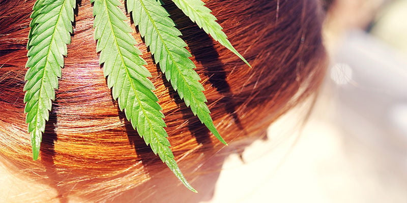 ¿El Consumo De Cannabis Provoca El Crecimiento O La Caída Del Pelo?
