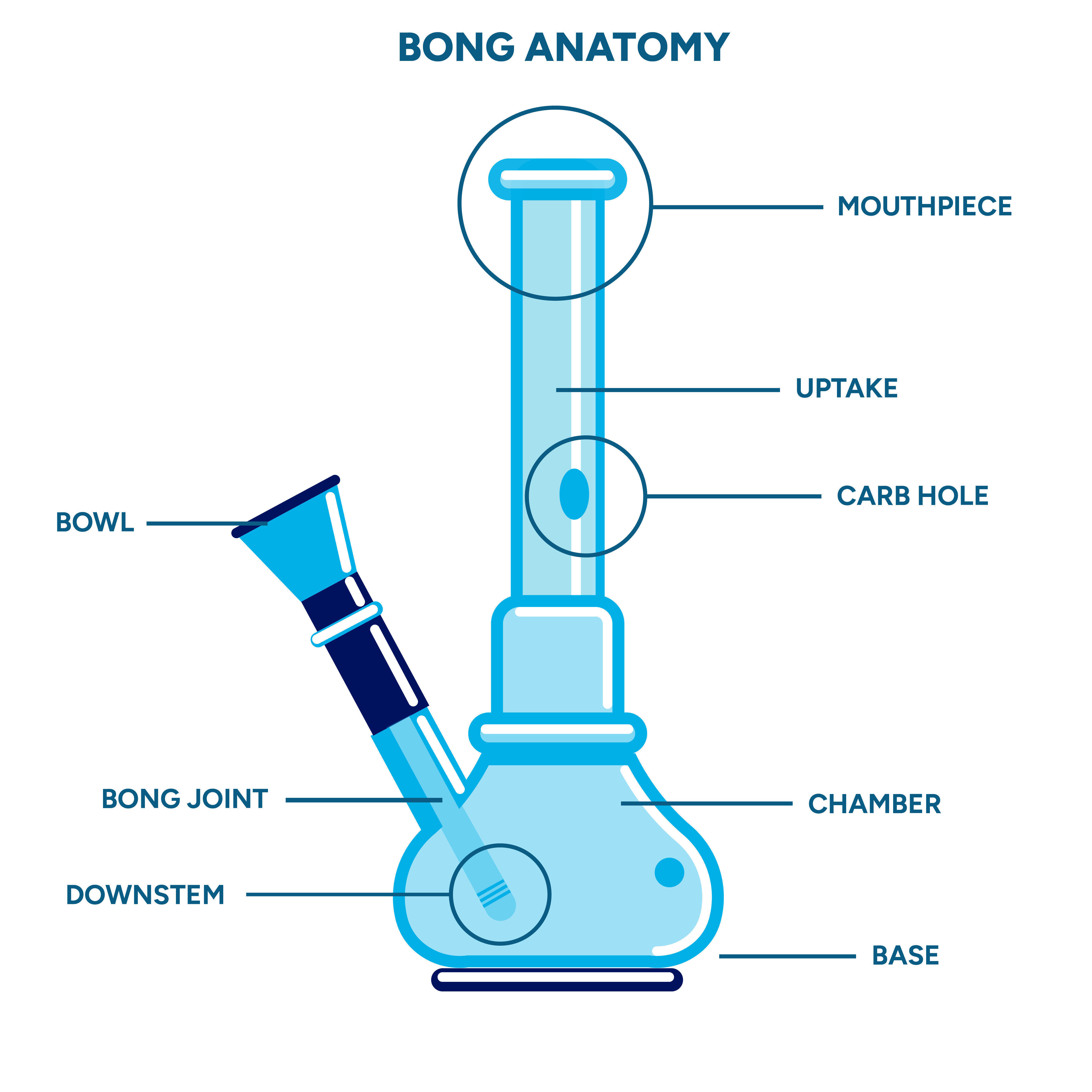 Anatomía De Un Bong