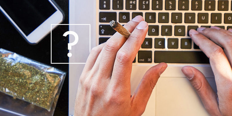 Las Respuestas A Las Preguntas Sobre Marihuana Más Buscadas En Internet