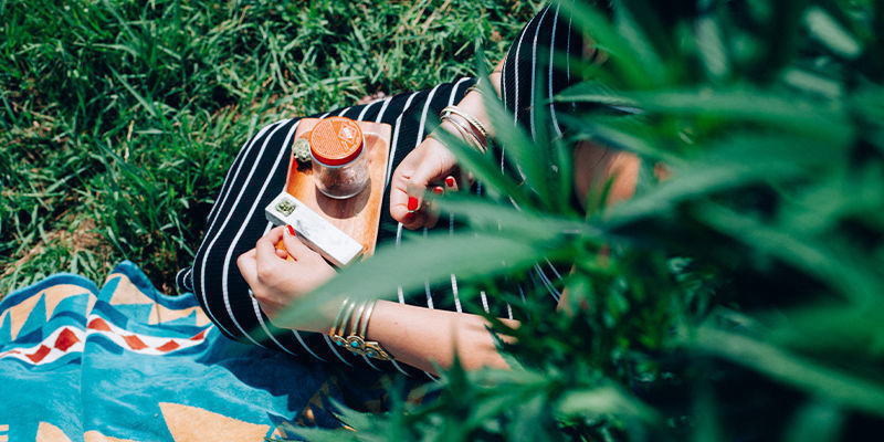 ¿Para Qué Se Consume El Cannabis?